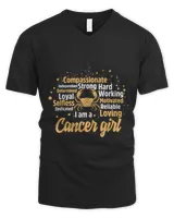 Men's V-Neck T-Shirt Men's V-Neck T-Shirt