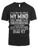 Men's V-Neck T-Shirt Men's V-Neck T-Shirt