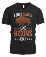 Men's V-Neck T-Shirt