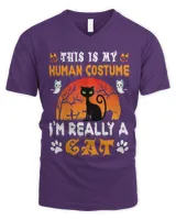 Men's V-Neck T-Shirt