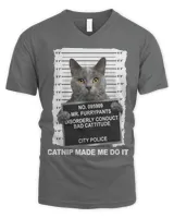 Men's V-Neck T-Shirt