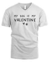 Men's V-Neck T-Shirt Men's V-Neck T-Shirt