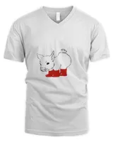 Men's V-Neck T-Shirt