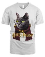 Men's V-Neck T-Shirt Men's V-Neck T-Shirt