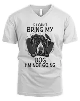 Men's V-Neck T-Shirt Men's V-Neck T-Shirt