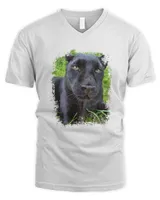 Men's V-Neck T-Shirt Men's V-Neck T-Shirt