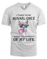 Men's V-Neck T-Shirt Men's V-Neck T-Shirt