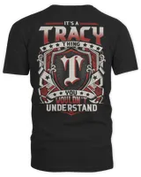 Men's V-Neck T-Shirt Men's V-Neck T-Shirt