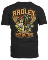 Men's V-Neck T-Shirt Men's V-Neck T-Shirt