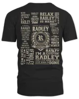Men's V-Neck T-Shirt Men's V-Neck T-Shirt