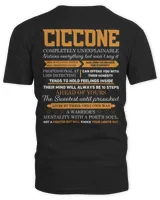 Men's V-Neck T-Shirt Men's V-Neck T-Shirt