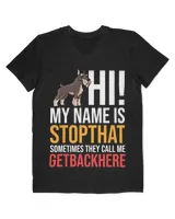 Men's V-Neck T-Shirt Men's V-Neck T-Shirt