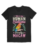 Men's V-Neck T-Shirt Men's V-Neck T-Shirt