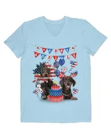Men's V-Neck T-Shirt