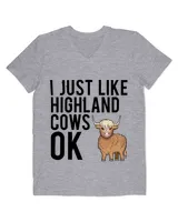 Men's V-Neck T-Shirt