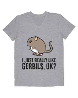 Men's V-Neck T-Shirt