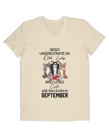 Men's V-Neck T-Shirt