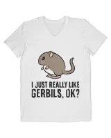 Men's V-Neck T-Shirt