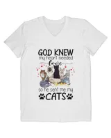 Men's V-Neck T-Shirt