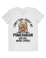 Men's V-Neck T-Shirt