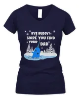 Women's V-Neck T-Shirt Women's V-Neck T-Shirt