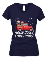 Women's V-Neck T-Shirt Women's V-Neck T-Shirt