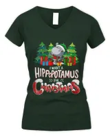 Women's V-Neck T-Shirt Women's V-Neck T-Shirt