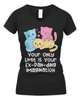 Women's V-Neck T-Shirt Women's V-Neck T-Shirt