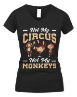 Women's V-Neck T-Shirt Women's V-Neck T-Shirt
