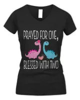 Women's V-Neck T-Shirt Women's V-Neck T-Shirt