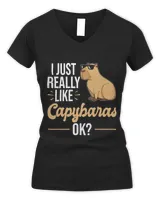 Women's V-Neck T-Shirt Women's V-Neck T-Shirt