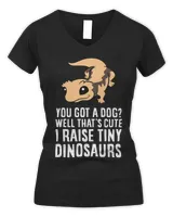 Women's V-Neck T-Shirt Women's V-Neck T-Shirt