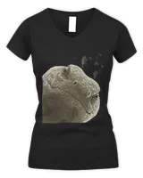 Women's V-Neck T-Shirt Women's V-Neck T-Shirt