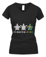 Women's V-Neck T-Shirt Women's V-Neck T-Shirt