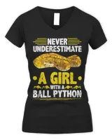 Women's V-Neck T-Shirt Women's V-Neck T-Shirt