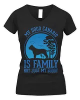 Women's V-Neck T-Shirt Women's V-Neck T-Shirt