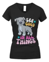 Women's V-Neck T-Shirt Women's V-Neck T-Shirt
