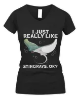 Women's V-Neck T-Shirt