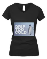 Women's V-Neck T-Shirt Women's V-Neck T-Shirt