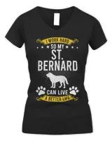 Women's V-Neck T-Shirt Women's V-Neck T-Shirt