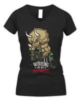 Women's V-Neck T-Shirt Women's V-Neck T-Shirt