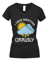 Women's V-Neck T-Shirt Women's V-Neck T-Shirt