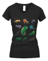 Women's V-Neck T-Shirt Women's V-Neck T-Shirt