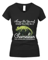 Women's V-Neck T-Shirt Women's V-Neck T-Shirt