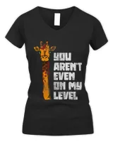 Women's V-Neck T-Shirt Women's V-Neck T-Shirt