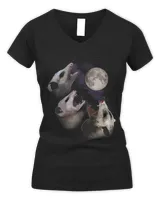 Women's V-Neck T-Shirt Women's V-Neck T-Shirt