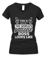 Women's V-Neck T-Shirt Women's V-Neck T-Shirt