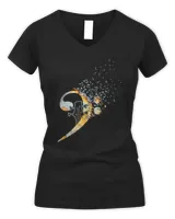 Women's V-Neck T-Shirt Women's V-Neck T-Shirt