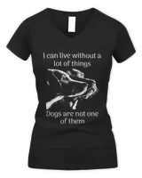 Women's V-Neck T-Shirt Women's V-Neck T-Shirt