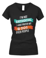 Women's V-Neck T-Shirt Women's V-Neck T-Shirt